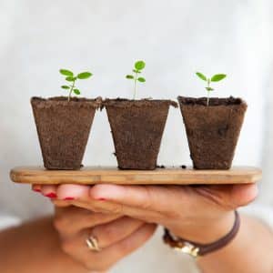 best gardening tools