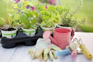 Best gardening tools