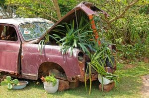 container gardening